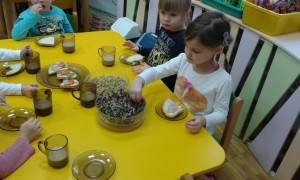 20160201_084906 (1)